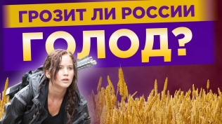 Грозит ли России голод?